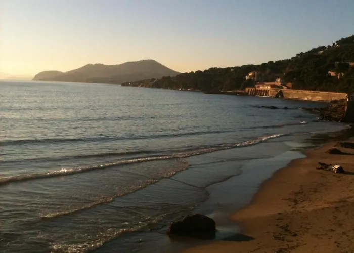 Apartment T2 Avec Terrasse Fermee Apercu Calme Colline Proche Plages Almanarre Hyeres