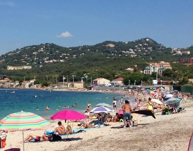 Apartment T2 Avec Terrasse Fermee Apercu Calme Colline Proche Plages Almanarre Hyeres