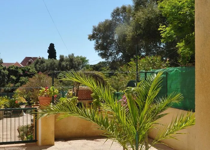 T2 Avec Terrasse Fermee Apercu Calme Colline Proche Plages Almanarre * Hyeres